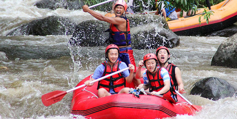 Bali Rafting and Elephant Ride Packages