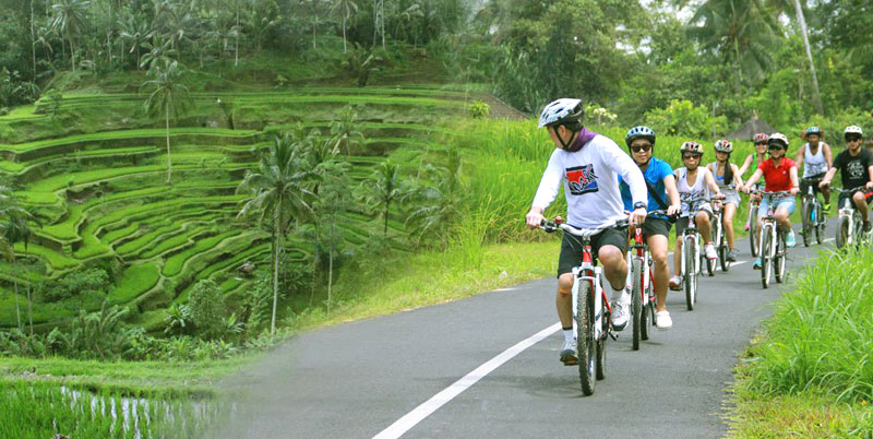 Bali Cycling + Elephant Ride + Spa Packages