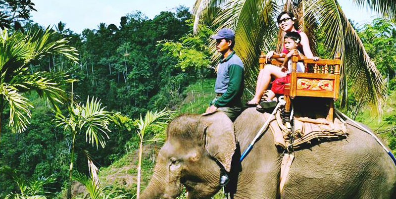 Bali Elephant Ride + ATV Ride + Spa Packages