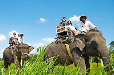 Bali Elephant Ride + ATV Ride + Spa Packages