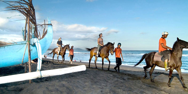 Bali Horse Riding and Elephant Ride Packages